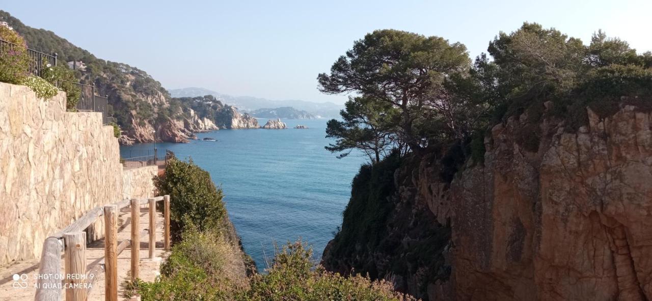 Villa Blanca 10 Minutos De La Playa Costa Brava Massanet De La Selva Ngoại thất bức ảnh